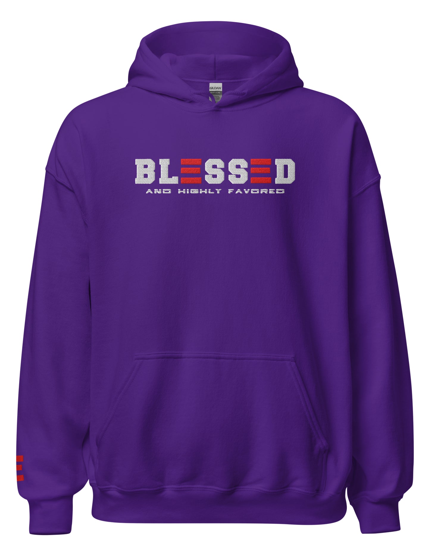 BLESSED and HIGHLY FAVORED UNISEX HOODIE